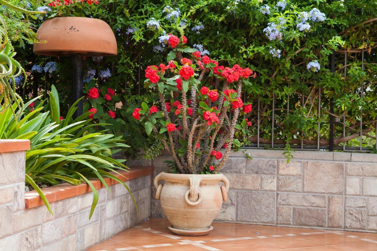 B&B Villa Carmen Sant'Alessio Siculo Ngoại thất bức ảnh